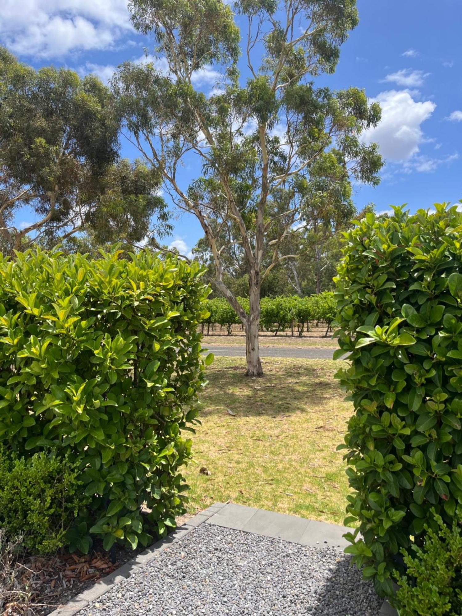 Villa Oxenberry Farm Mclaren Vale Exterior foto